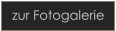 zur Fotogalerie