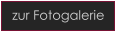 zur Fotogalerie